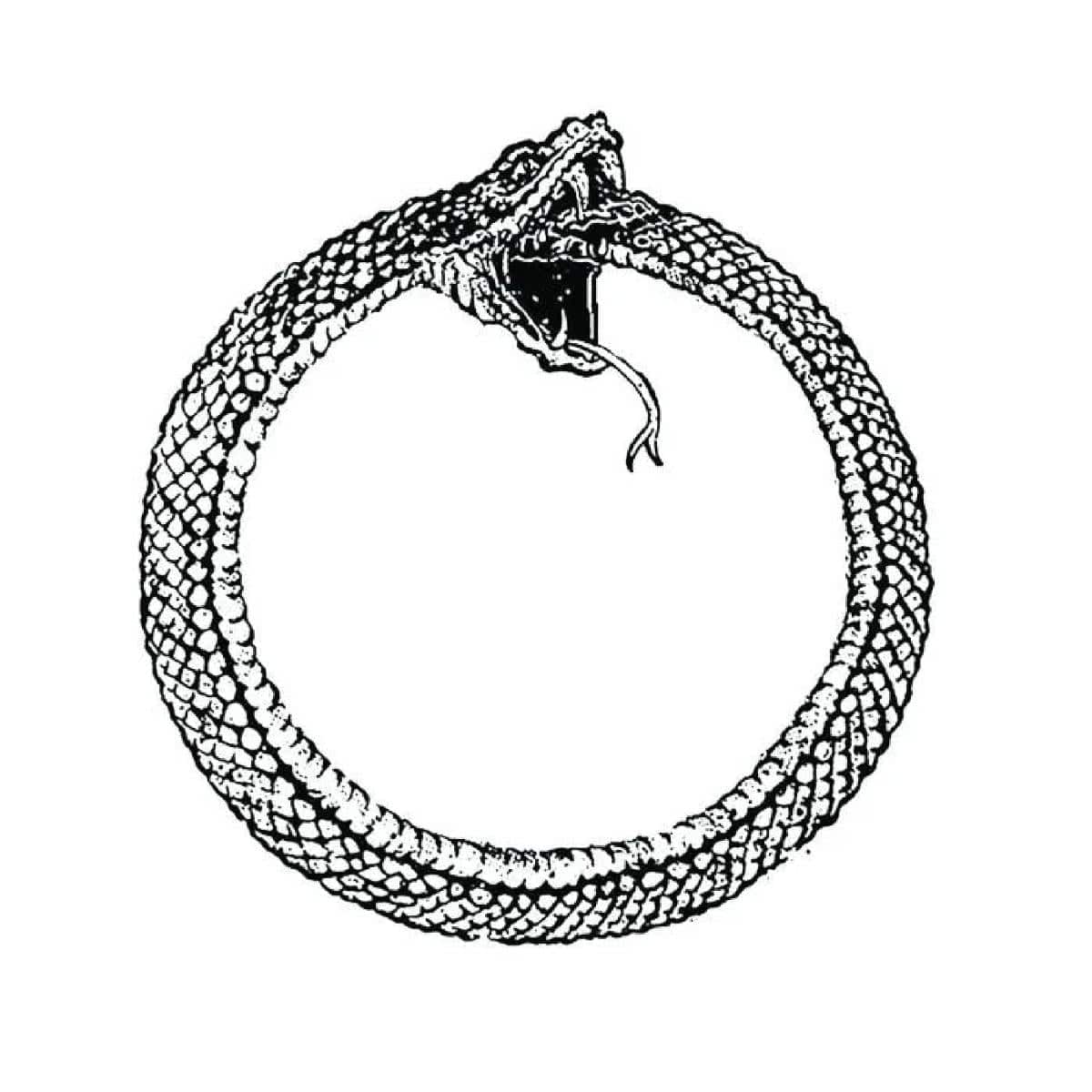 ouroboros polo - soon